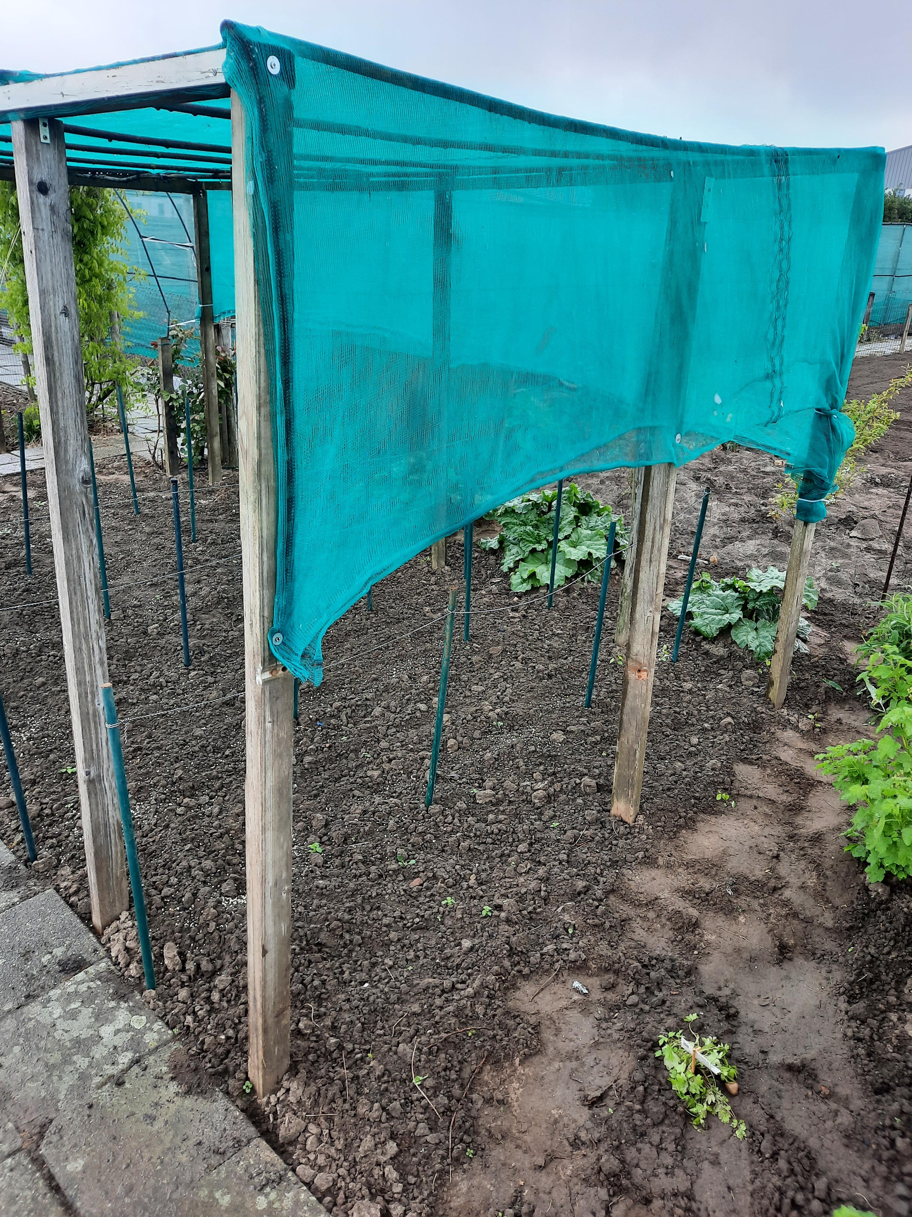 Steigernet gebruik: Steigernet